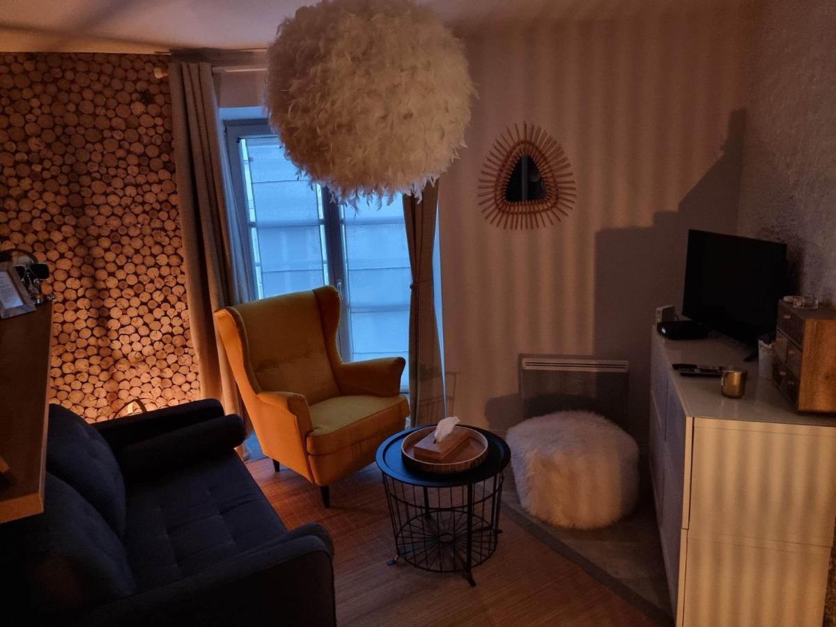 Apartment Petit Cocon Quartier Historique Chaumont *